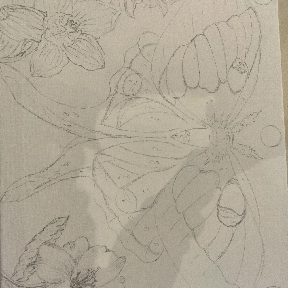 These are examples of artwork I have done. - Picture 12 of 16